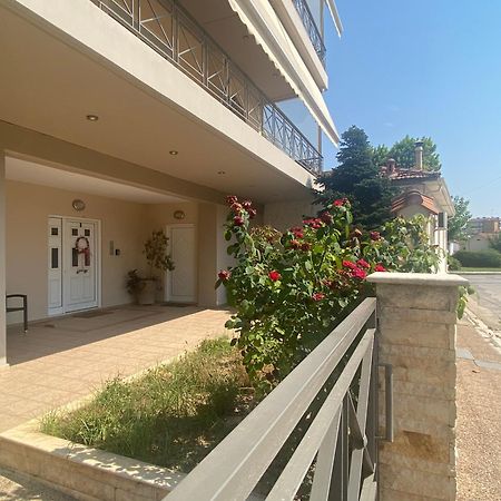 Cozy & Quiet City Apartment Trikala  Exterior photo