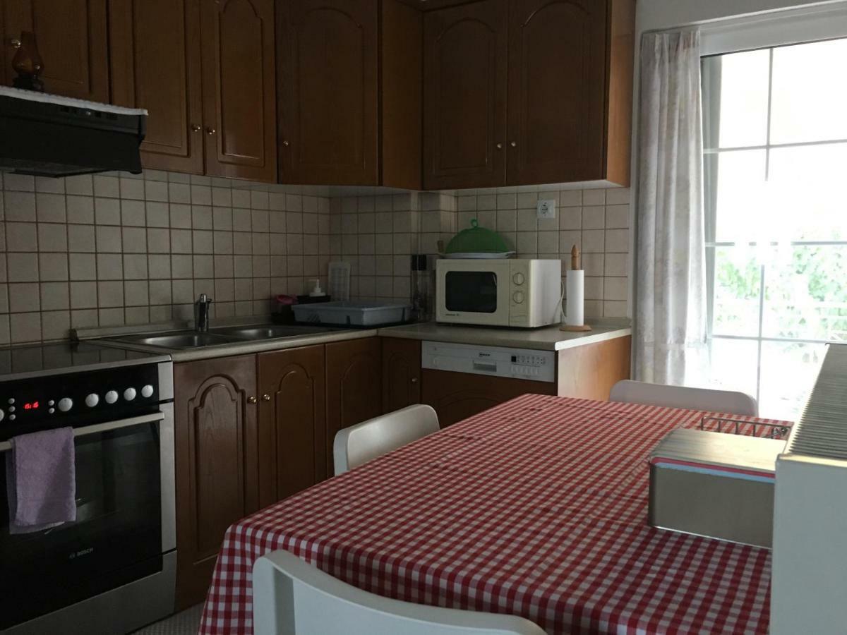 Cozy & Quiet City Apartment Trikala  Exterior photo